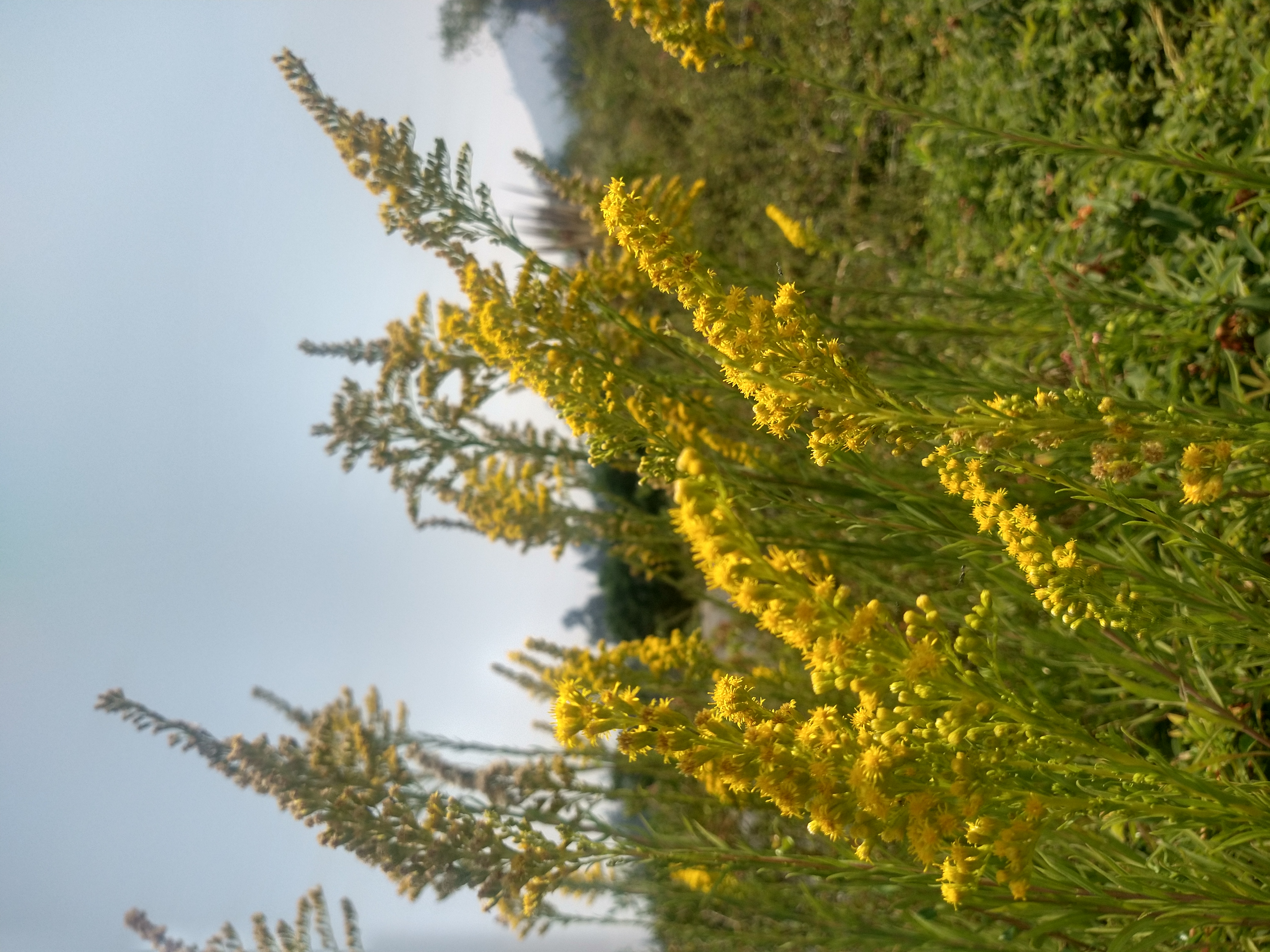 Architecture photo 2